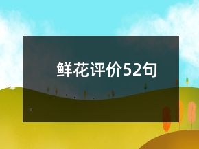 鮮花評價52句