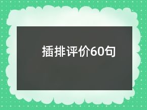 插排評(píng)價(jià)60句