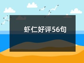 蝦仁好評(píng)56句