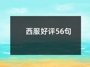 西服好評(píng)56句