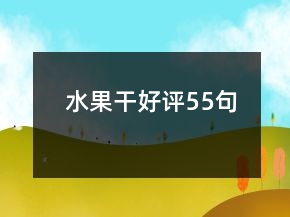水果干好評55句
