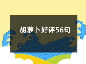 胡蘿卜好評(píng)56句