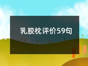 乳膠枕評價59句