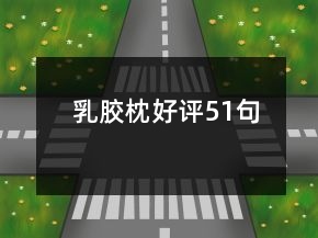 乳膠枕好評(píng)51句