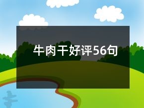 牛肉干好評(píng)56句