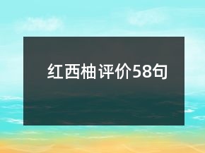 紅西柚評價58句
