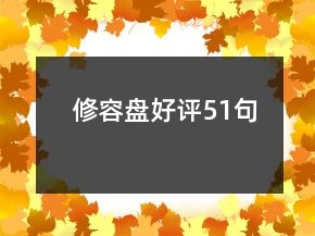 修容盤好評(píng)51句