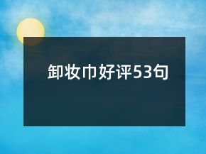 卸妝巾好評(píng)53句