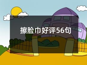 擦臉巾好評56句