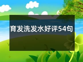 育發(fā)洗發(fā)水好評54句