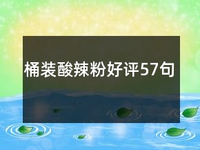 桶裝酸辣粉好評(píng)57句