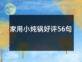 家用小燉鍋好評56句