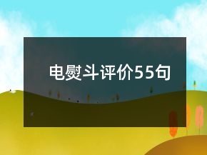 電熨斗評(píng)價(jià)55句