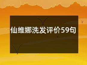 仙維娜洗發(fā)評價(jià)59句