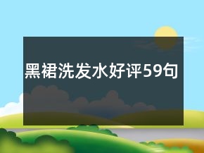 黑裙洗發(fā)水好評59句