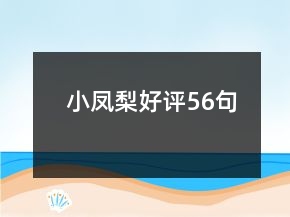 小鳳梨好評(píng)56句