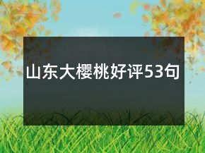 山東大櫻桃好評(píng)53句