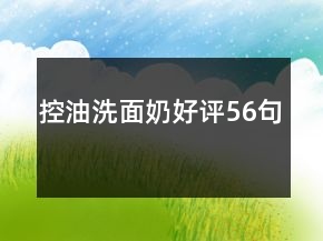 控油洗面奶好評56句