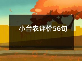 小臺農(nóng)評價(jià)56句