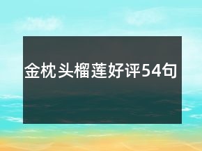 金枕頭榴蓮好評(píng)54句