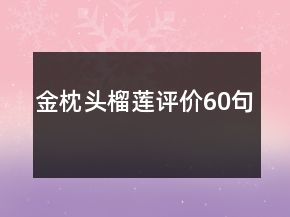 金枕頭榴蓮評(píng)價(jià)60句