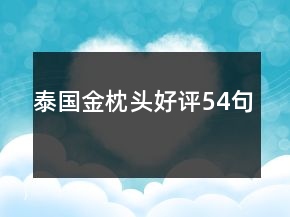 泰國(guó)金枕頭好評(píng)54句