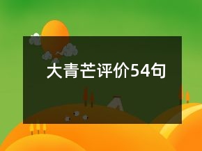 大青芒評價54句