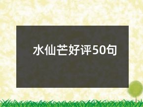 水仙芒好評(píng)50句