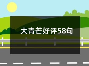 大青芒好評58句