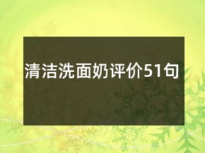 清潔洗面奶評(píng)價(jià)51句
