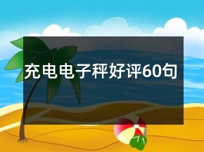 充電電子秤好評60句