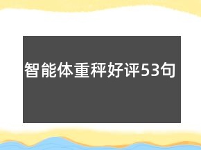 智能體重秤好評53句