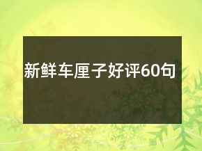 新鮮車?yán)遄雍迷u60句