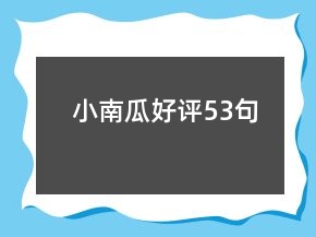 小南瓜好評53句
