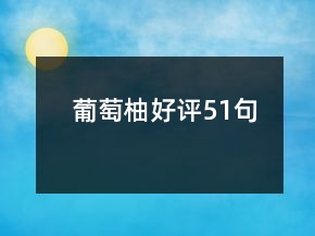 葡萄柚好評(píng)51句