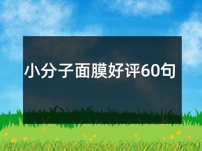 小分子面膜好評60句
