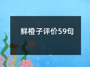 鮮橙子評價59句