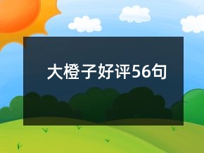 大橙子好評(píng)56句