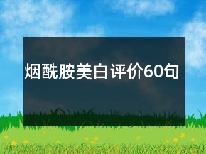 煙酰胺美白評價60句