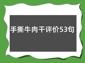 手撕牛肉干評價(jià)53句