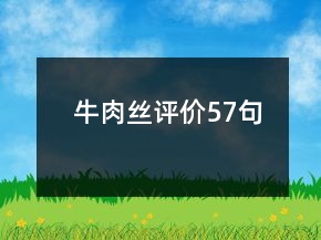 牛肉絲評價57句