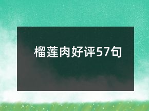 榴蓮肉好評57句