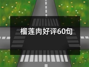 榴蓮肉好評(píng)60句