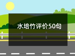 水培竹評價50句