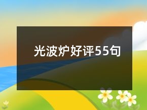 光波爐好評(píng)55句