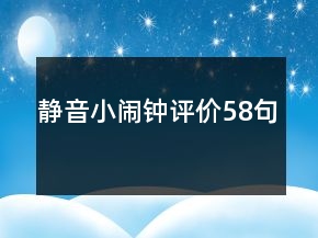 靜音小鬧鐘評(píng)價(jià)58句