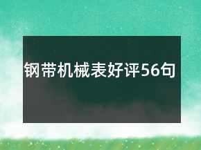 鋼帶機械表好評56句