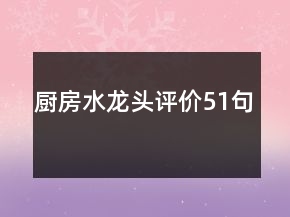 廚房水龍頭評價51句