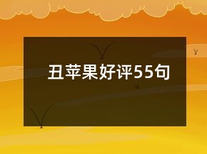 丑蘋果好評55句