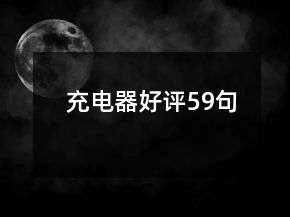 充電器好評59句